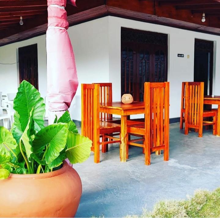 Tharurashmi Sea Pond Villa & Surf Hostel - Hiriketiya Zuid-Dikwella Buitenkant foto